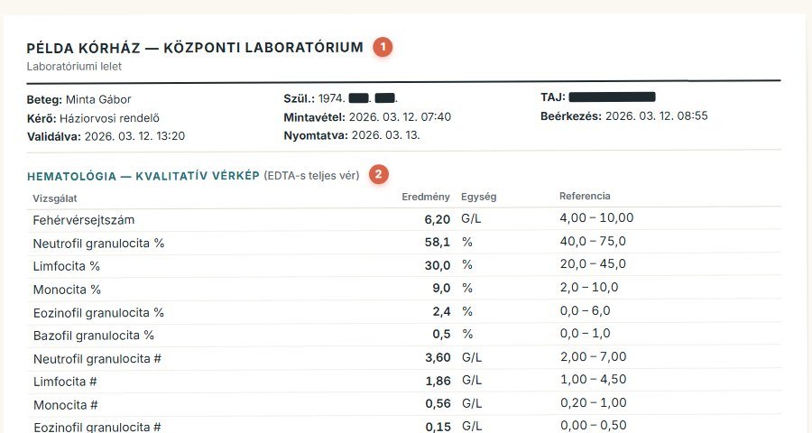 Kitalált laborlelet számozott jelölőkkel.